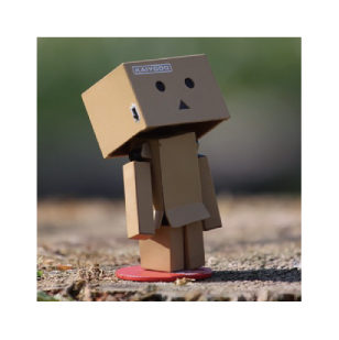 ケイティーまぐま